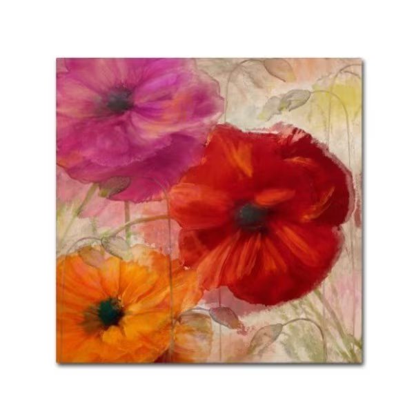 Color Bakery 'Penchant For Poppies I' Canvas Art, 35x35, Trademark Fine Art, Mfr#: ALI4024-C3535GG
